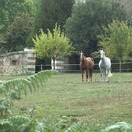 Le Pommier Doux, Maison D'hote Du Domaine Du Chateau D'argeronne Gasthof 3*